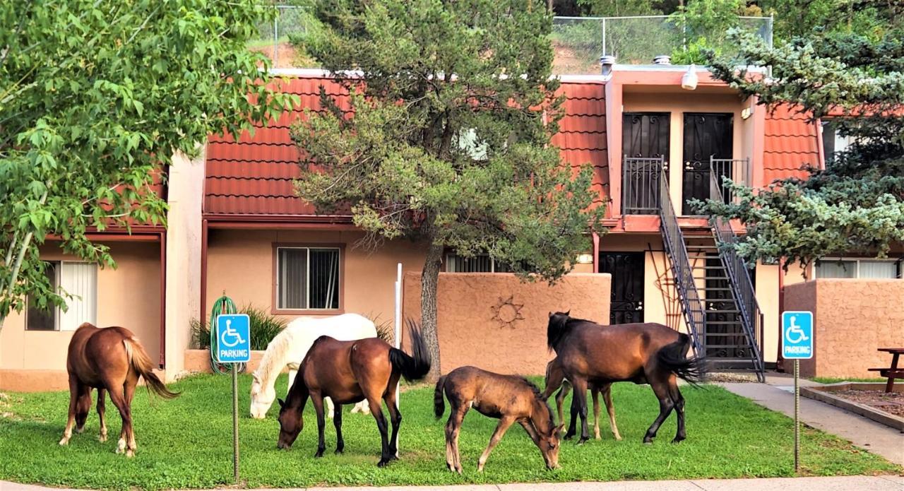 Pinecliff Village Resort Hollywood 외부 사진